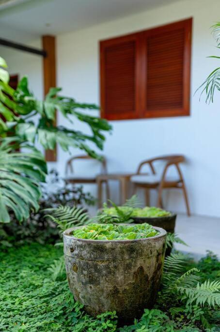 Villa Mimpi Nyata Canggu Zewnętrze zdjęcie