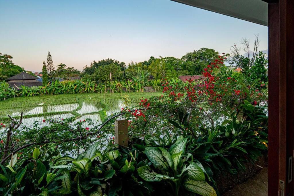 Villa Mimpi Nyata Canggu Zewnętrze zdjęcie